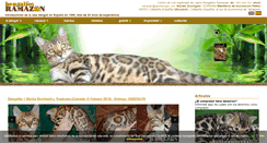Desktop Screenshot of gatobengali.com